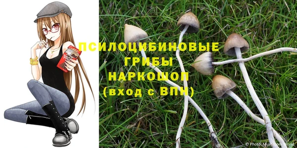 твердый Красноперекопск