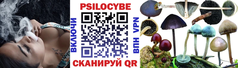 Купить закладки  Костомукша  Псилоцибиновые грибы прущие грибы 